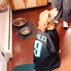 Meet your Posher, Jason